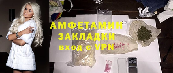винт Лагань