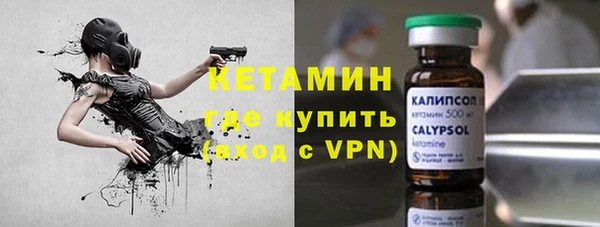 винт Лагань