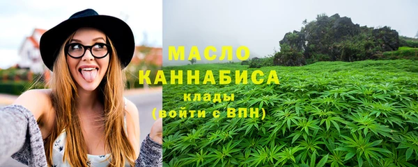 винт Лагань