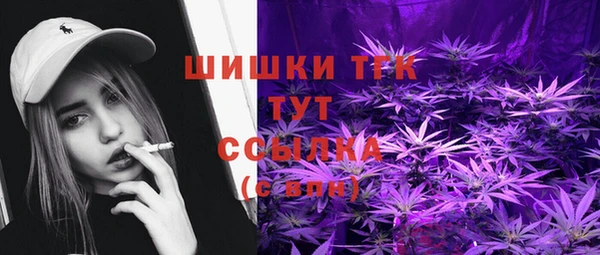 винт Лагань